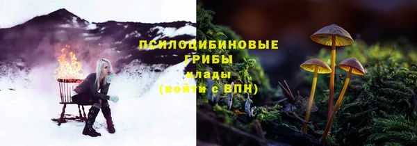 Альфа ПВП Волосово