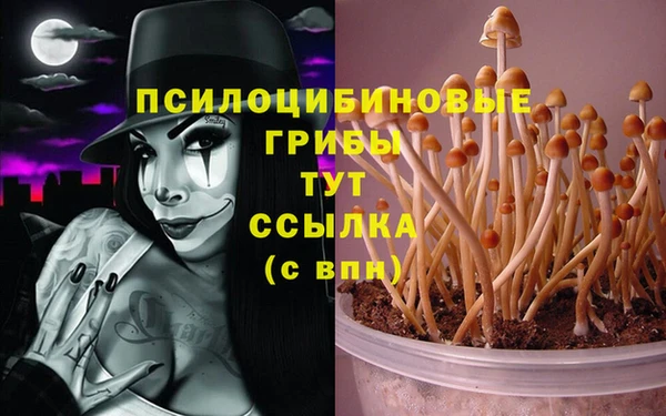 Альфа ПВП Волосово
