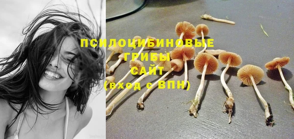 Альфа ПВП Волосово