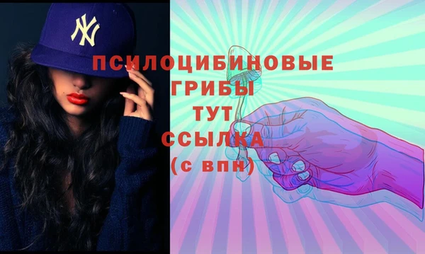 СК Володарск