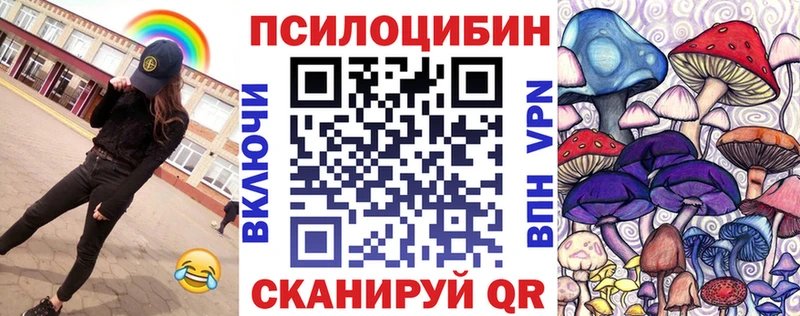 закладки  Луга  Псилоцибиновые грибы Psilocybine cubensis 